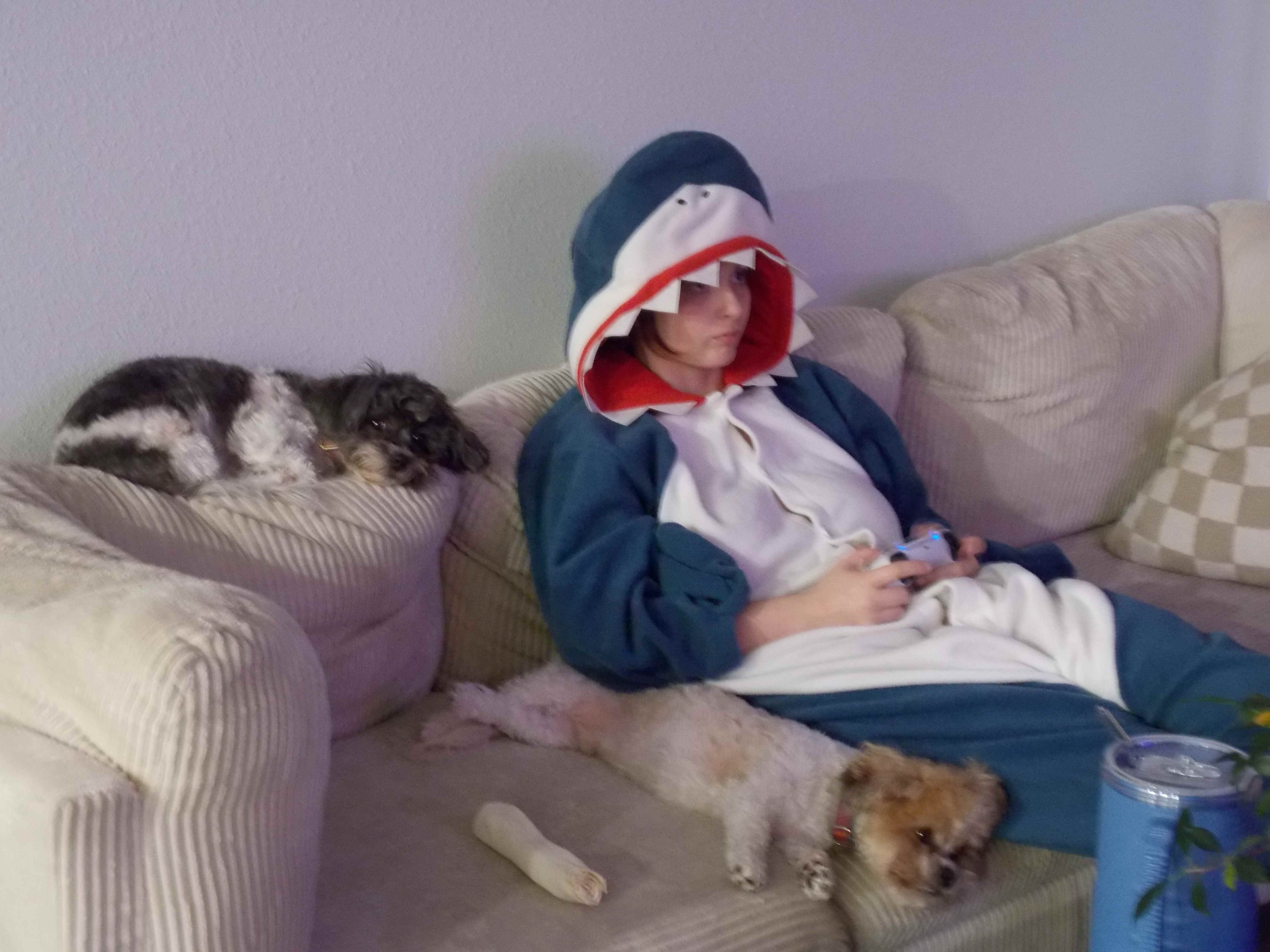 DSCN0576.JPG (3597645 bytes)