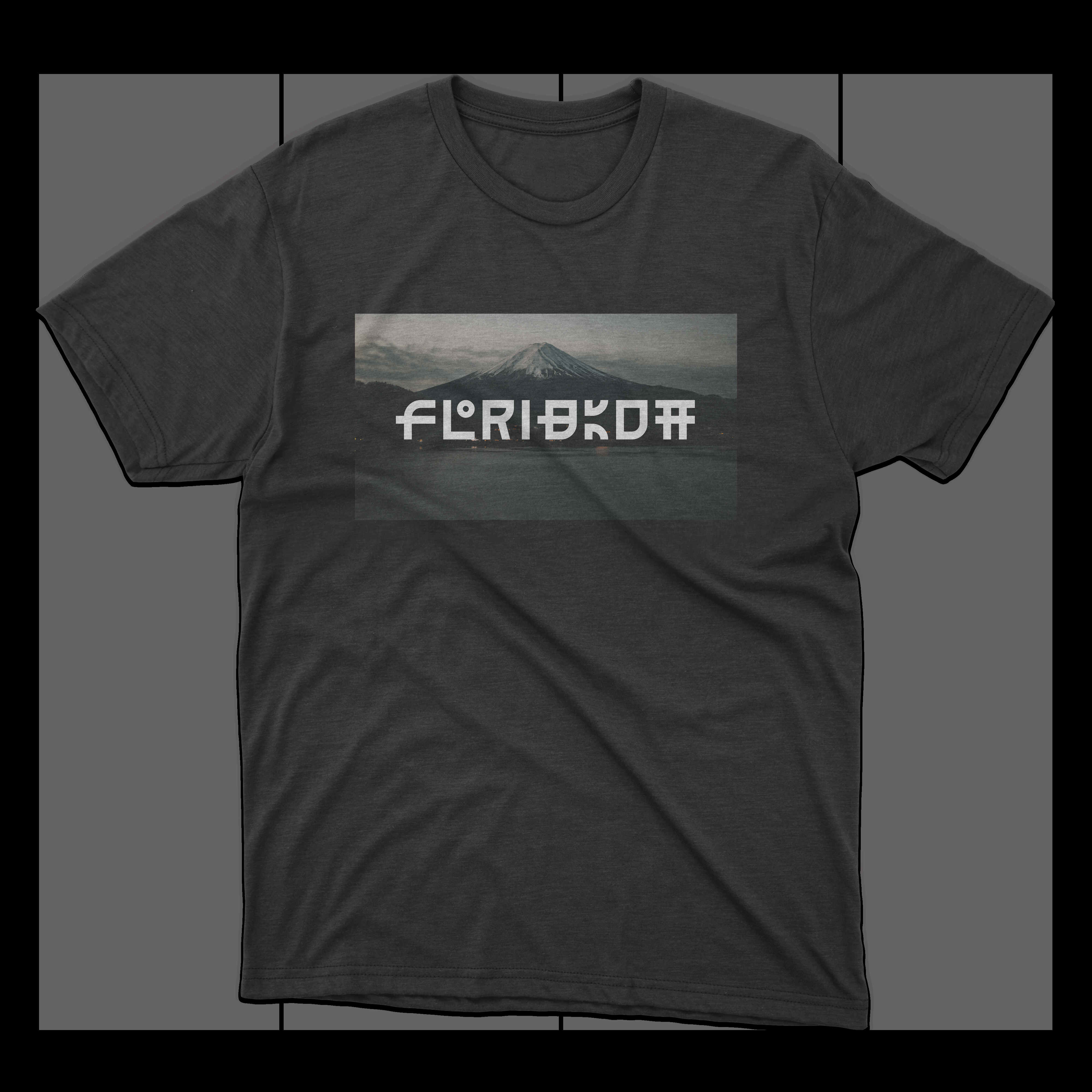 Dscn0265.jpg (3674489 bytes)